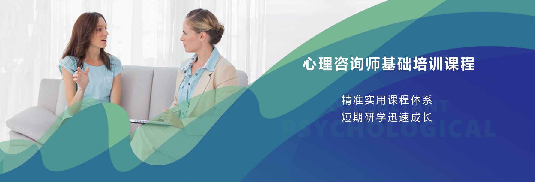 心理咨询师基础培训课程 - 心理学专业技能证书项目